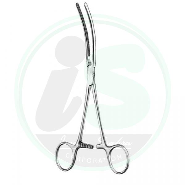 Stomach,Intestines,Rectum