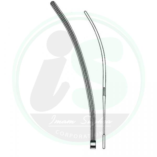 Stomach,Intestines,Rectum