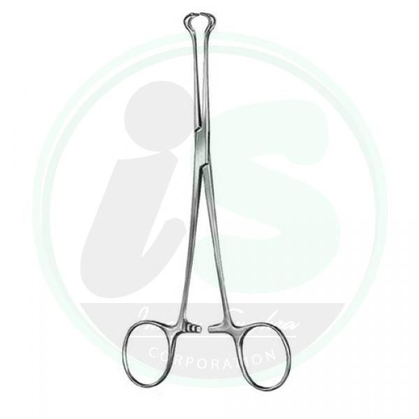 Stomach,Intestines,Rectum