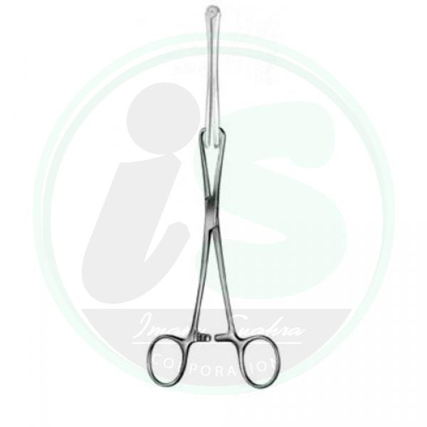 Stomach,Intestines,Rectum